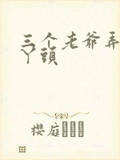 三个老爷弄一个丫头封面