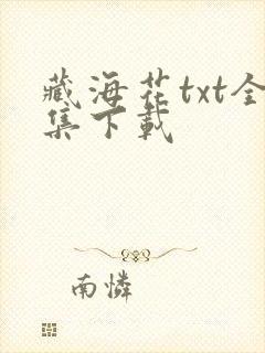 藏海花txt全集下载