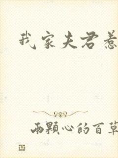我家夫君惹不起