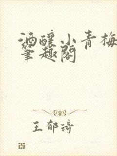 酒酿小青梅po笔趣阁封面