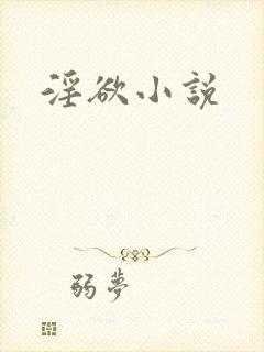 淫欲小说封面