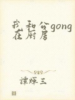 我和公gong在厨房封面