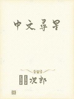 中文寻星