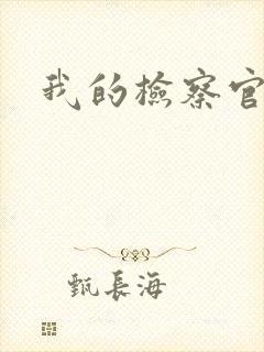 我的检察官先生