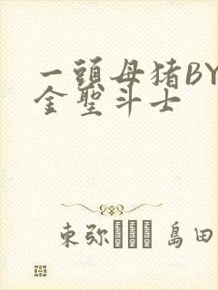 一头母猪BY黄金圣斗士封面