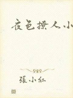 夜色撩人小说
