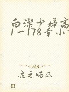 白洁少妇高义第1一178章小说