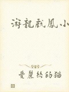 游龙戏凤小说