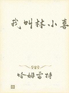 我叫林小喜17封面