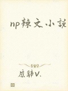 np辣文小说
