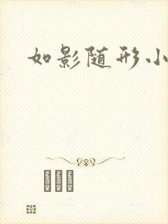 如影随形小说封面