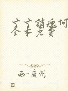 寸寸销魂何生祥全本免费