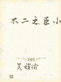 不二之臣小说