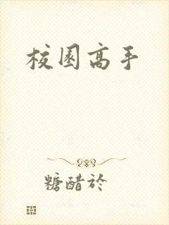 校园高手封面