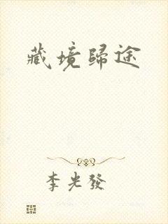 藏境归途