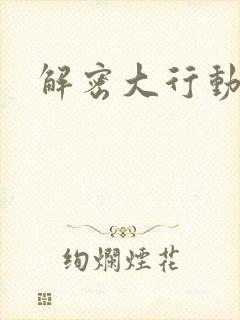 解密大行动