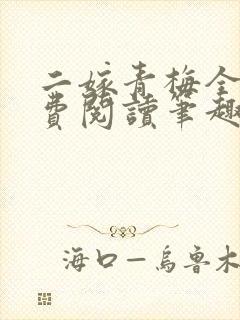 二嫁青梅全文免费阅读笔趣阁