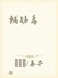 辅助岛