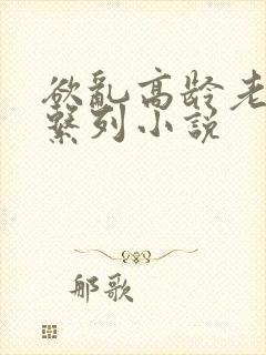 欲乱高龄老女人系列小说封面