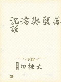 沉沦与堕落的小说封面