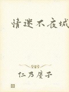 情迷不夜城