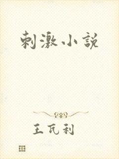 刺激小说