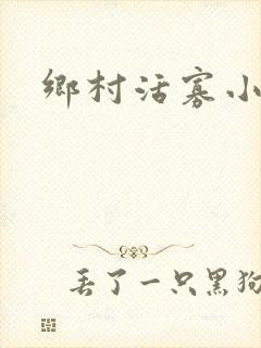 乡村活寡小说