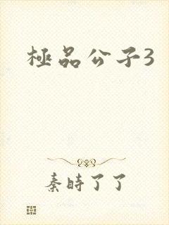 极品公子3