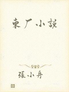 东厂小说封面