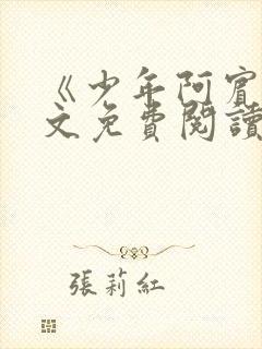 《少年阿宾》全文免费阅读封面