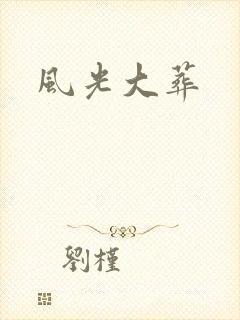 风光大葬封面