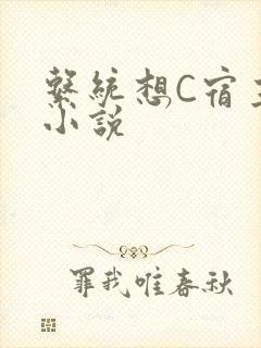 系统想C宿主的小说