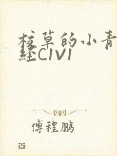 校草的小青梅不经C1V1