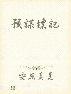 预谋标记封面