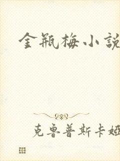 金瓶梅小说在线封面