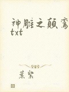 神雕之颠鸾倒凤txt封面