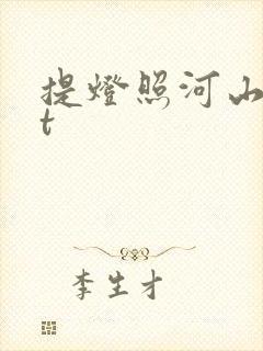 提灯照河山txt