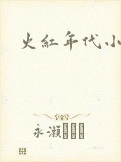 火红年代小说