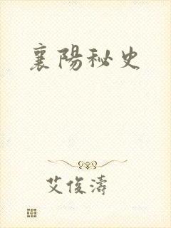 襄阳秘史