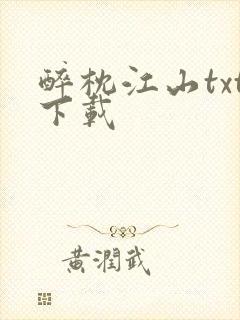 醉枕江山txt下载