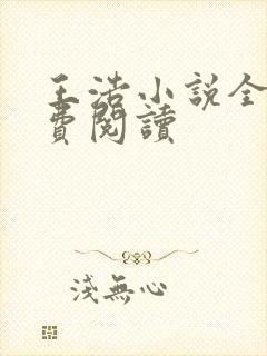 王浩小说全文免费阅读封面