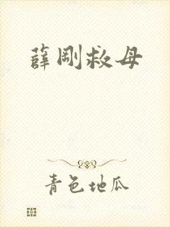 薛刚救母