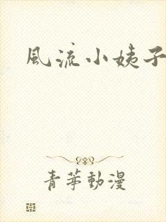 风流小姨子封面