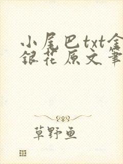 小尾巴txt金银花原文笔趣阁在线阅读