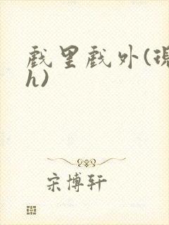 戏里戏外(现场h)