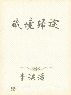 藏境归途封面