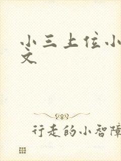 小三上位小说全文