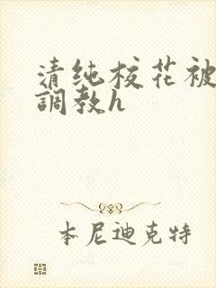 清纯校花被地狱调教h
