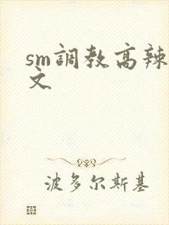 sm调教高辣h文封面