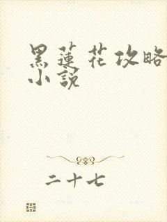 黑莲花攻略手册小说